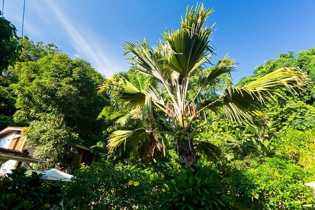Villa Cote Sud - Unique Villa & Bungalows Intendance Road Takamaka