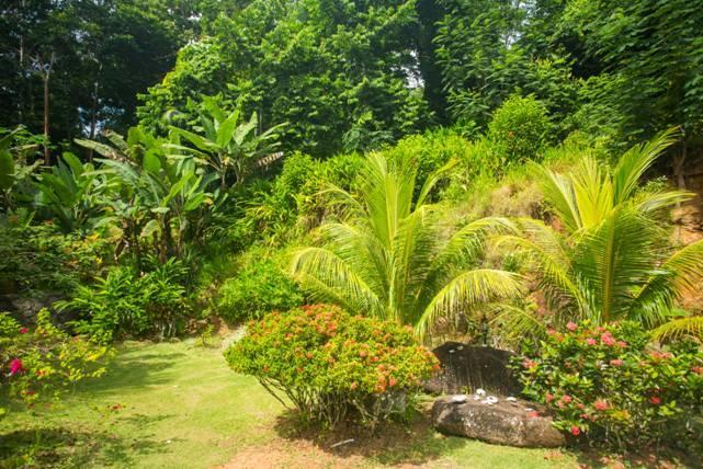 Cote Sud - Unique Villa & Bungalows Intendance Road Villa