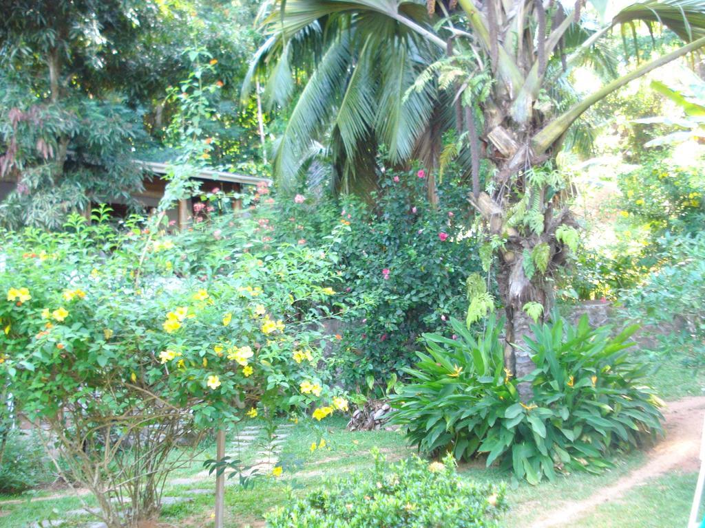 Villa Cote Sud - Unique & Intendance Road *
